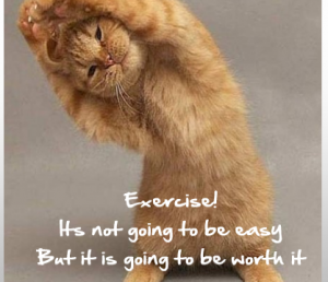 exercise-easy-418x360